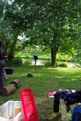 Linge beesd 093.jpg